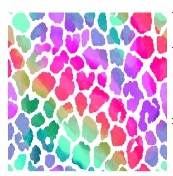 27956-14 ''Rainbow Spots'' print