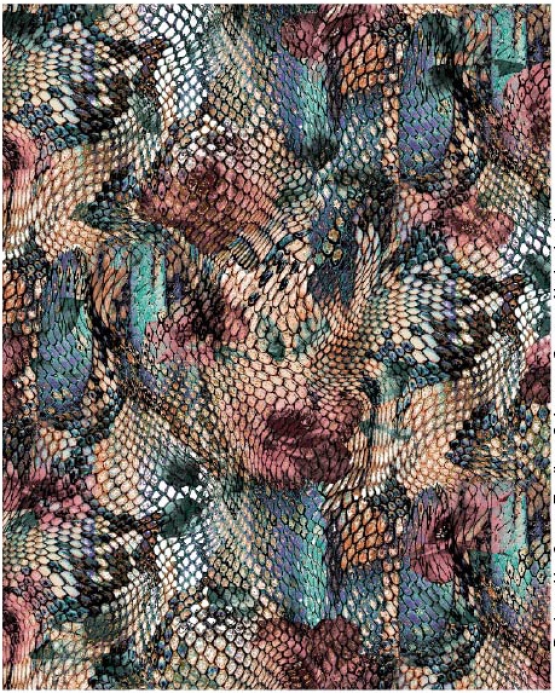 27411-22LI ''Fancy Python'' print