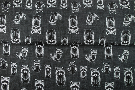 26538-16 ''Rocky Raccoon'' FT-print