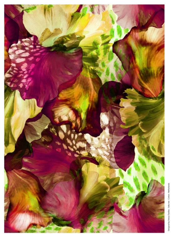 27951-08 ''Orchid Paradise'' print