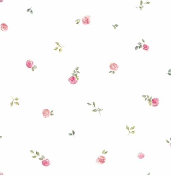 27465-02HD ''Roses'' print