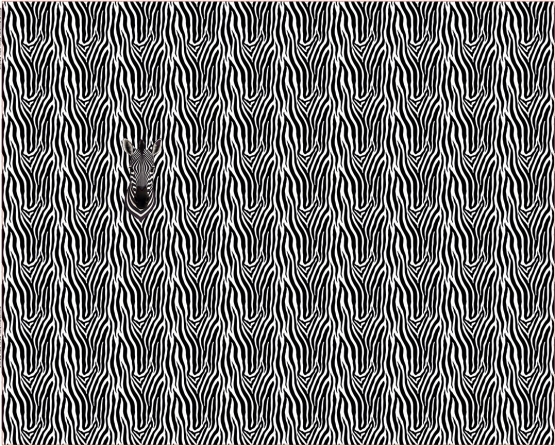 27273-20 ''Zebra Zoo'' Panel