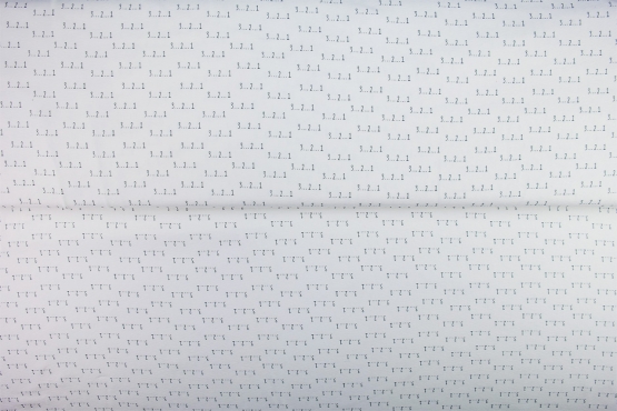 26317-02TR ''Counting Down'' print