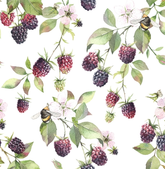 27456-02HD ''Wild Blackberry'' print