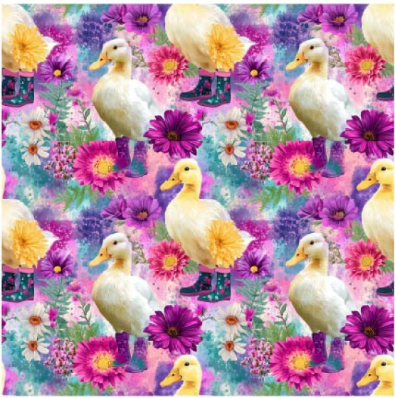 27234-14TR ''Funky Ducks'' print