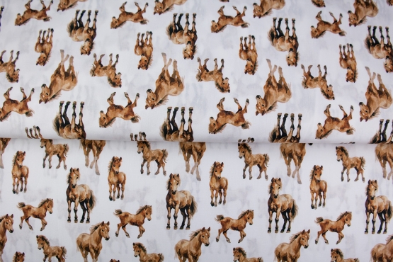 26128-02PL ''Foals'' print