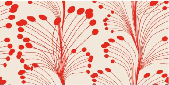 27419-11LI ''Popping Feathers'' print