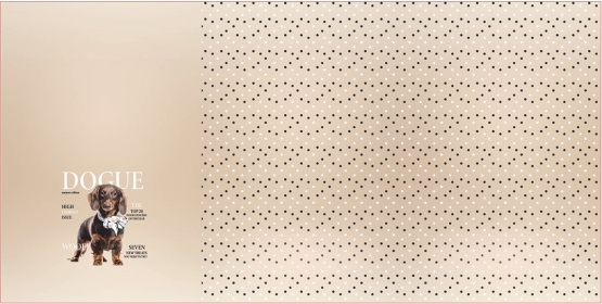 27267 ''Dogue'' Panel