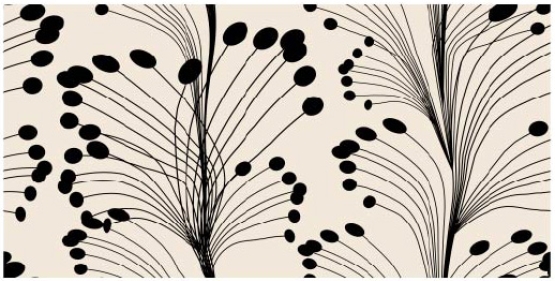 27419-22LI ''Popping Feathers'' print