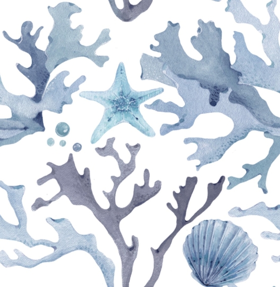 27467-02HD ''Coral'' print