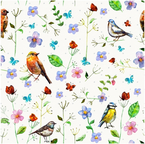 27621-02PL ''Little bird'' print