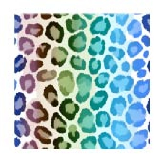 27957-09 ''Rainbow Leo'' print