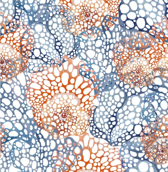 27920-11TR ''Crazy Coral'' print