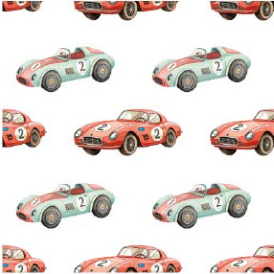 27186-02SE ''The Smallest Racecar'' print