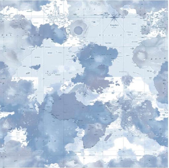 27223-09TR ''Blue Camu Map'' print