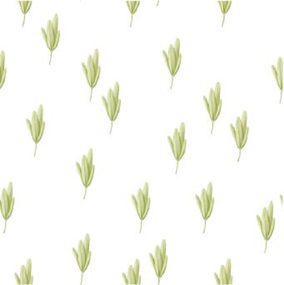 27255-02 ''Weeds'' print