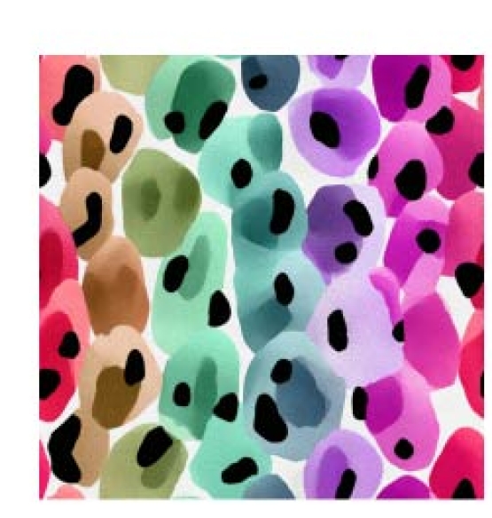 27955-12 ''Blurred Dots'' print