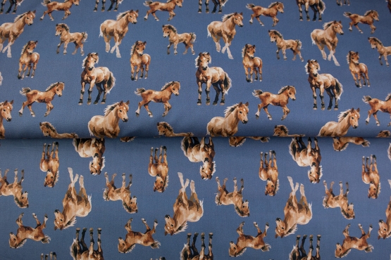 26128-09PL ''Foals'' print