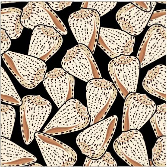 27812-20VE ''Seashells'' print