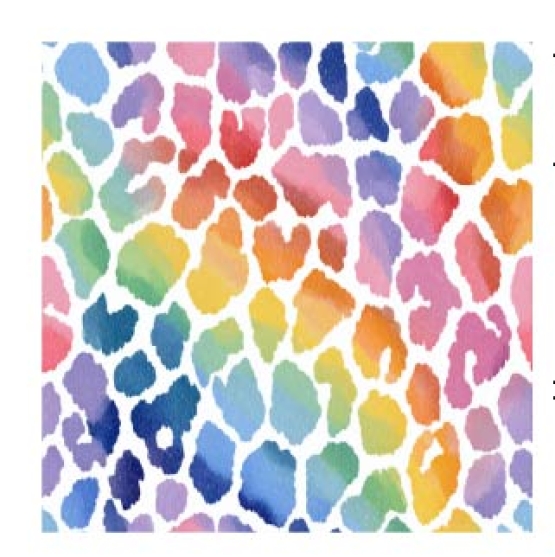 27956-12 ''Rainbow Spots'' print